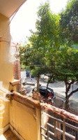 Mặt Tiền Phan Đình Phùng - Khu Vip Tân Thành - Tân Phú - 8X29M - Dtcn 233M2 - Giá Bán 24 Tỷ Tl
