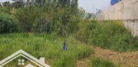 Bán Nền: 513Mv (15M X 34M, Thổ 300Mv) Đường Bình Trị, P.11, Tp Cao Lãnh.