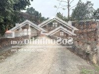 Bán Nhanh Lô Đất 100/M2 Tại Tam Dương, Vĩnh Phúc. Giá 600 Triệu