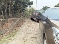 Bán Nhanh Lô Đất 100/M2 Tại Tam Dương, Vĩnh Phúc. Giá 600 Triệu
