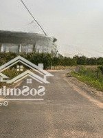 Chính Chủ Cần Bán Lô Đất, Xã Hòa Hiệp, Xuyên Mộc, Brvt. 16500M2