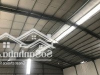 Chính Chủ Cho Thuê Kho Xưởng Tại Cổ Bi, Gia Lâm, Hà Nội.diện Tích500M2 - 1000M2 - 2000M2 Đến 5000M2
