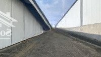 Chính Chủ Cho Thuê Kho Xưởng Tại Cổ Bi, Gia Lâm, Hà Nội.diện Tích500M2 - 1000M2 - 2000M2 Đến 5000M2