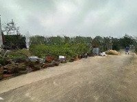 Siêu Phẩm Vĩnh Tuy- Liên Nghĩa 125,6M2 Sát Đường Tỉnh 379 Và Dự Án Trường Bách Khoa Cs2 Chỉ 300M