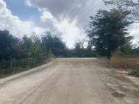 Bán Đất Đường Bê Tông 8 Mét Khu Phố 3 Hắc Dịch - Giá 9Xx Triệu