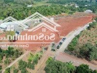 Bán Đất Đường Bê Tông 8 Mét Khu Phố 3 Hắc Dịch - Giá 9Xx Triệu