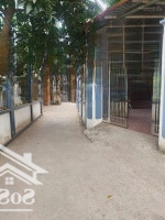 Bán 1 Lô Duy Nhất Sót Lại Tại Sen Phương, Phúc Thọ Giá Chỉ 920 Triệu, 42M2, Xe Morning Vào Sát Đất
