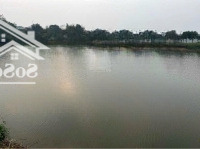 Cần Bán Gấp 6 Triệu/M 700M Sẵn Nhà View Cánh Đồng Cách Hồ Đồng Mô 300M Kim Sơn Thị Xã Sơn Tây 098550852