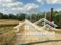 Em Chính Chủ Cần Bán Lô Đất Thổ Cư Tại Xã Phước Tuy - Cần Đước - Long An