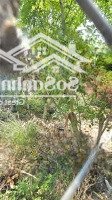 Bán Đất 1/ Đường 49 Giá Rẻ Nhất Hiệp Bình Chánh