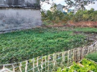 Chính Chủ Vỡ Nợ Cần Bán Gấp Lô Đất 33M Tại Đông Dư - Gia Lâm Giá Chỉ 2.7Tỷ