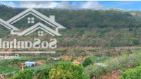 Bán Gấp Lô Đất Mặt Tiền Ql 20, Thị Trấn D''ran Chỉ 2,48 Tỷ Có Sẵn Thổ Cư View Sông Đa Nhim Siêu Đẹp