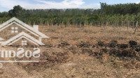 Bán 5.060M2 Đất Phủ Hồng Toàn Bộ, Giá Đầu Tư Chỉ 1 Triệu Đồng/M2