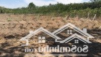 Bán 5.060M2 Đất Phủ Hồng Toàn Bộ, Giá Đầu Tư Chỉ 1 Triệu Đồng/M2