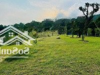 E Có Từ 1000 Đất Vườn Giá Rẻ Tại Đông Xuân, Quốc Oai Chỉ Cách Bigc 35Km Cho Các Bác Yêu Thích Làm V