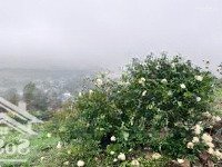 E Có Từ 1000 Đất Vườn Giá Rẻ Tại Đông Xuân, Quốc Oai Chỉ Cách Bigc 35Km Cho Các Bác Yêu Thích Làm V