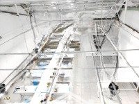 Xưởng Chính Chủ Gủi Cần Cho Thuê Gấp Thuộc Phường 15 Tân Bình Dt: 8 X 22M Giá Thuê: 18 Triệu/1 Tháng