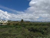 Đất View Đẹp - Thoáng Mát - Giả Rê Sẵn Thổ Cư Tại Xã Quảng Lập, Huyện Đơn Dương, Tỉnh Lâm Đồng
