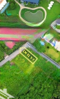 Bán Đất Mặt Tiền Đỗ Văn Thi ( 5*25 ) Liên Hệ: 0349229988