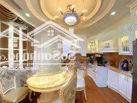 Bán Nhà Vạn Bảo, Ba Đình Dòng Tiền 3 Tỷ/Năm, 120M2,Thang Máy, Mt8M, Ô Tô Đỗ, Chỉ Hơn 52 Tỷ