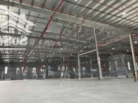 Cho Thuê Xưởng 8000M2, 12.000M2, 18.000M2 Kcn Nhơn Trạch Đồng Nai. Hỗ Trợ Giấy Phép Cho Các Dnnn
