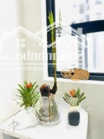 Cập Nhật Rỗ Hàng Sang Nhượng Mới Nhất 4/2025 Saigon Intela 2-3 Pn Cam Kết Giá Thật 100% Không Ảo