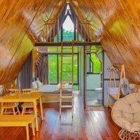 CHUYỂN NHƯỢNG DỰ ÁN 20ha ĐẦU TƯ KHAI THÁC DỊCH VỤ, DU LỊCH SINH THÁI TẠI ĐÀ NẴNG.