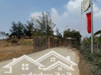 Bán Gấp Siêu Phẩm 6000M2, Bám Mặt Đường Nhựa, Cư Yên, Sát Dự Án Beverly Hill, Đầu Tư Phân Lô