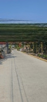 Siêu Rẻ Chỉ Nhỉnh 700 Triệu Sở Hữu Ngay Mảnh Đất 119M Đường To. Liên Hệ: 0981978433