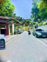 Chủ Trẻ Tuổi Dễ Tính!! Bán Biệt Thự Kđt Linh Đàm, Hoàng Mai,Diện Tích260M2, Xách Vali Về Ở Luôn