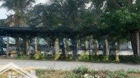 Bán Đất Tại Xã Vạn Phước, Vạn Ninh, Khánh Hòa Chỉ Với 970 Triệu, 132.4M2, Kế Bên 2 Kđt