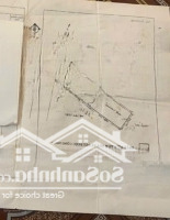 Bán Nhà Cấp 4 Nát Hẻm 1 Trục Quang Trung P10, Gò Vấp, 5,3 X 23M, Sổ Công Nhận 111M2, Hẻm Xe Hơi 5M