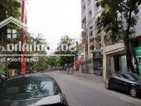 Cần Chuyển Nhượng Toà Nhà Văn Phòng,Mặt Phố ,Trung Tâm Quận Hai Bà Trưng,Kinh Doanh Đẳng Cấp