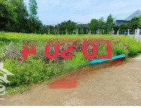 Còn Duy Nhất Lô Xuân Đồng Sát Chợ Đất Sét Giá 349 Triệu