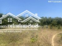 Bán Hơn 500M2 Đất Sổ Riêng Có Thổ Cư Hồ Tràm, Phước Thuận, Xuyên Mộc, Bà Rịa - Vũng Tàu
