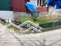 Hàng Hiếm Tại Lê Xá, Mai Lâm, Đông Anh, Hà Nội, Giá Thỏa Thuận, 60M2