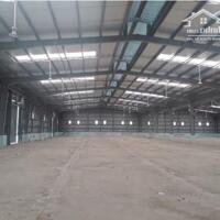 Cho Thuê 3.500m2 – 5.000m2 Nhà Xưởng Trong KCN Bàu Bàng Bình Dương