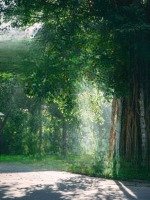 Booking Đợt 1 Eco Retreat Long An - Ưu Đãi Sớm Đến 200 Triệu - Quỹ Căn Đẹp, Độc Quyền, Giá Tốt