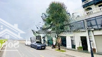Liền Kề Xẻ Khe Sao Biển 23 Gần Vincom Kinh Doanh Nhộn Nhịp Tại Vinhomes Oceanpark 1 Gia Lâm