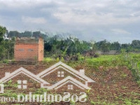 2335M2 Có Sẵn 150 Thổ Cư Hàng Gòn Tp. Long Khánh Đồng Nai Chỉ 3 Tỷ