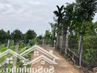 2335M2 Có Sẵn 150 Thổ Cư Hàng Gòn Tp. Long Khánh Đồng Nai Chỉ 3 Tỷ