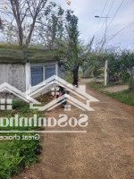 Hàng Hiếm Tại Trung Tâm Thị Trấn Ngãi Giao Châu Đức, Brvt. Giá Chỉ 2,65 Tỷ Với Diện Tích 1625 M2