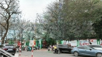 Mới Nhất Căn Btlk Mỹ Đình Được Đăng Ký Bán. Giá Tốt Nhất 38 Tỷ Có Thương Lượng Mạnh