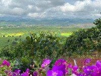 Bán 1079M2 Đất Nam Hà Ven Đà Lạt, View Đẹp, Sẵn Thổ Cư, Ngay Khu Dân Cư Hiện Hữu