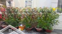 Bán Nền Đất Hẻm Xe Hơi Đẹp Gần Chợ Hiệp Bình.