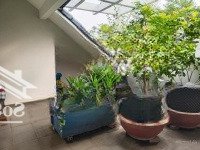 Bán Siêu Biệt Thự 5 Tầng Góc 3 Mặt Tiền Khu Vip Gò Vấp - 265M2 - 33Tỷ
