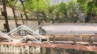 Chính Chủ Bán Gấp Nhà Mới, Ngõ Ô Tô, Kinh Doanh, Ngõ 53 Quan Nhân; Diện Tích: 50 M2 5 Tầng. 9,8 Tỷ