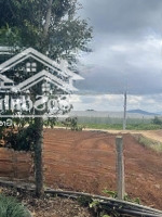 Đất Thị Trấn Liên Nghĩa, Huyện Đức Trọng - Giá Bán 1.630 Tỷ - Liên Hệ: 0352240407