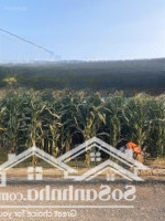 Bán Đất Tổ 34, Đường Chính Bông Giấy, Thị Trấn Liên Nghĩa, Huyện Đức Trọng - Giá Bán 2.130 Tỷ