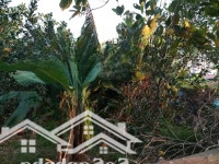 Bán Đất Lô Góc 2 Mặt Đường Bê Tông, Ô Tô 5 - 7 Chỗ Vào Đất, Có Sổ Hồng Giá Chỉ 3 Triệu/M2